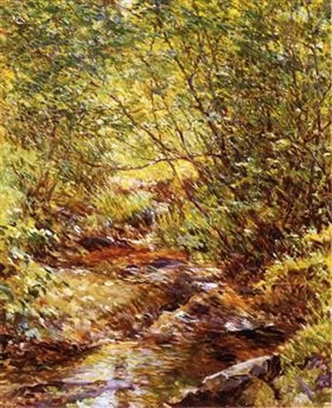 Ruscello nel bosco
